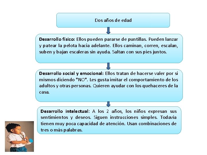 Dos años de edad Desarrollo físico: Ellos pueden pararse de puntillas. Pueden lanzar y