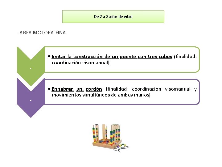 De 2 a 3 años de edad ÁREA MOTORA FINA . . • Imitar