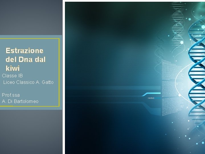 Estrazione del Dna dal kiwi Classe IB Liceo Classico A. Gatto Prof. ssa A.