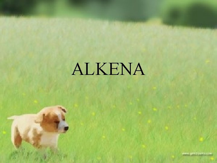 ALKENA 