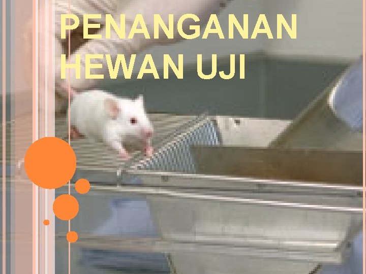 PENANGANAN HEWAN UJI 