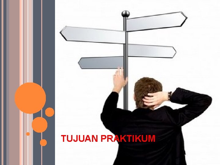 TUJUAN PRAKTIKUM 