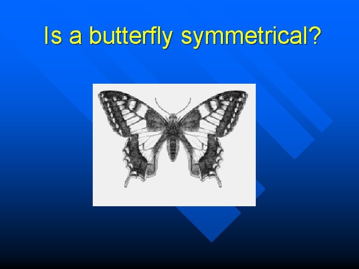 Is a butterfly symmetrical? 