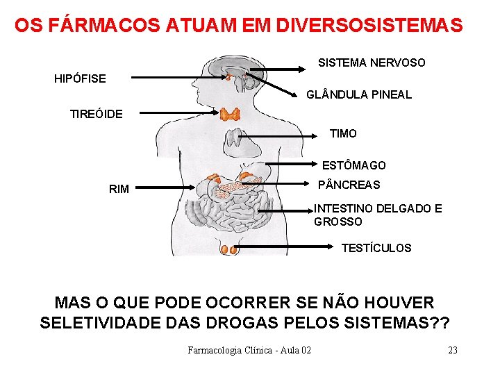 OS FÁRMACOS ATUAM EM DIVERSOSISTEMAS SISTEMA NERVOSO HIPÓFISE GL NDULA PINEAL TIREÓIDE TIMO ESTÔMAGO OS FÁRMACOS ATUAM EM DIVERSOSISTEMAS SISTEMA NERVOSO HIPÓFISE GL NDULA PINEAL TIREÓIDE TIMO ESTÔMAGO