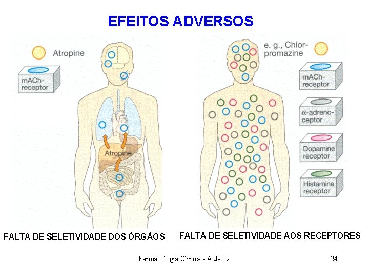EFEITOS ADVERSOS §EFEITOS ADVERSOS FALTA DE SELETIVIDADE DOS ÓRGÃOS FALTA DE SELETIVIDADE AOS RECEPTORES EFEITOS ADVERSOS §EFEITOS ADVERSOS FALTA DE SELETIVIDADE DOS ÓRGÃOS FALTA DE SELETIVIDADE AOS RECEPTORES