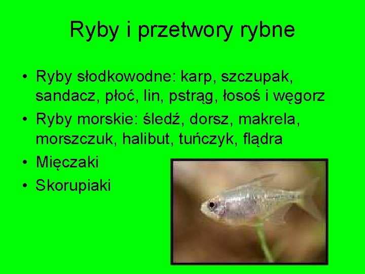 Ryby i przetwory rybne • Ryby słodkowodne: karp, szczupak, sandacz, płoć, lin, pstrąg, łosoś