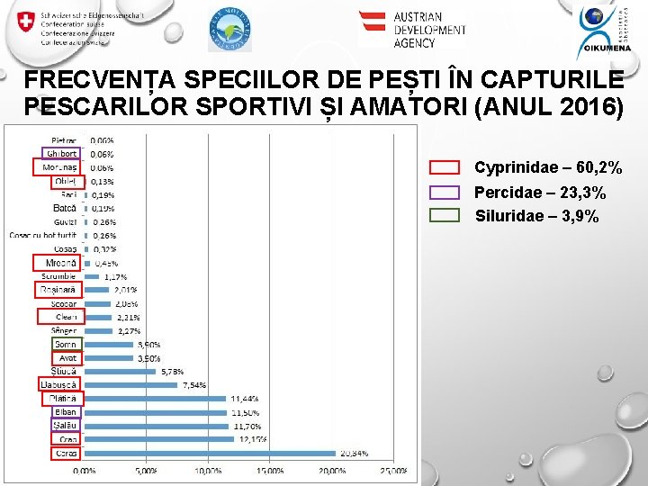 FRECVENȚA SPECIILOR DE PEȘTI ÎN CAPTURILE PESCARILOR SPORTIVI ȘI AMATORI (ANUL 2016) Cyprinidae –