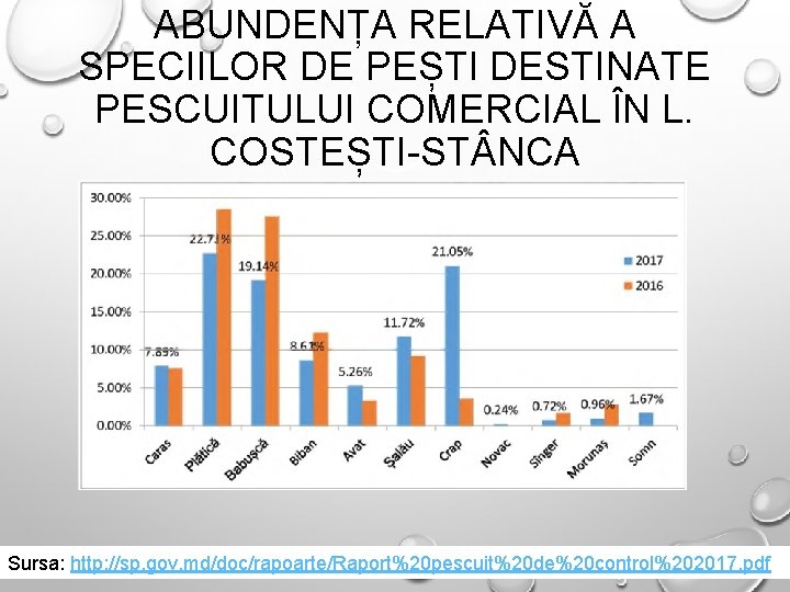 ABUNDENȚA RELATIVĂ A SPECIILOR DE PEȘTI DESTINATE PESCUITULUI COMERCIAL ÎN L. COSTEȘTI-ST NCA Sursa: