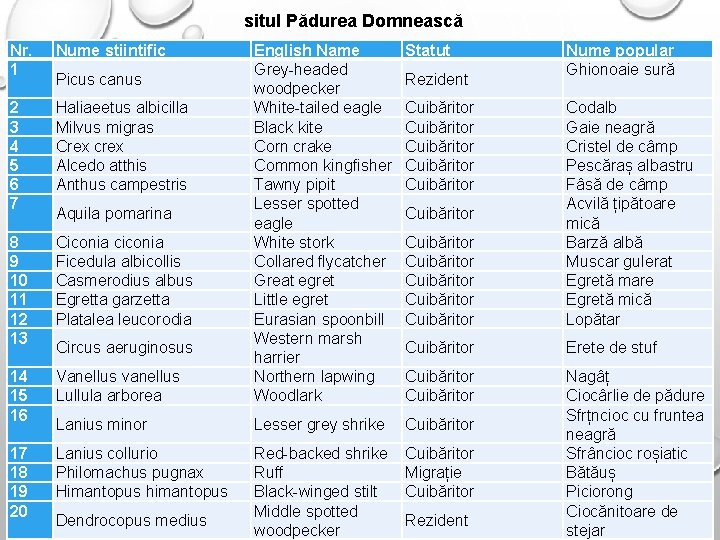 situl Pădurea Domnească Nr. 1 Nume științific Statut Vanellus vanellus Lullula arborea English Name