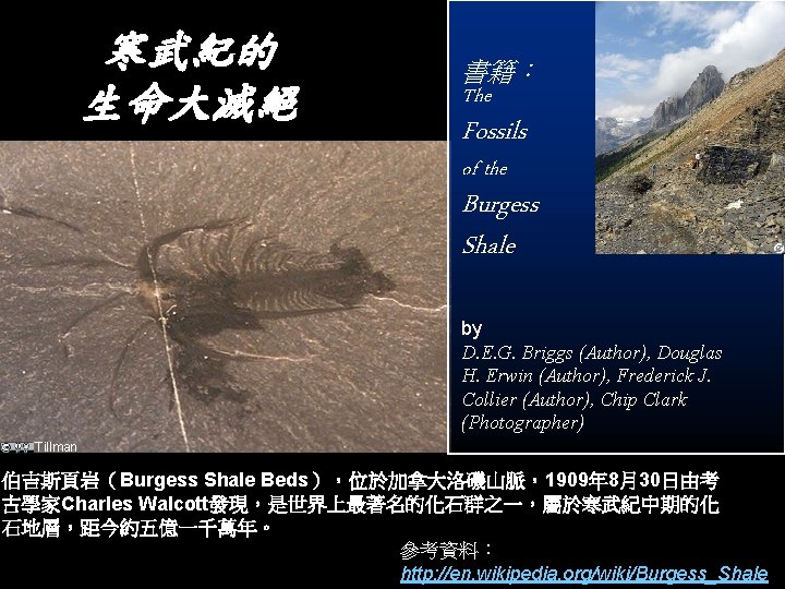 寒武紀的 生命大滅絕 書籍： The Fossils of the Burgess Shale by D. E. G. Briggs