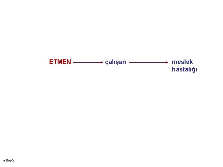 ETMEN A Ergör çalışan meslek hastalığı 