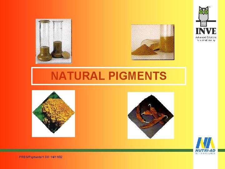 NATURAL PIGMENTS PRES/Pigments/1 DD 14/11/02 