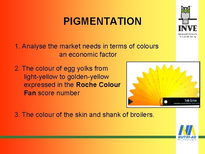 PIGMENTATION 1. Analyse the market needs in terms of colours ð an economic factor