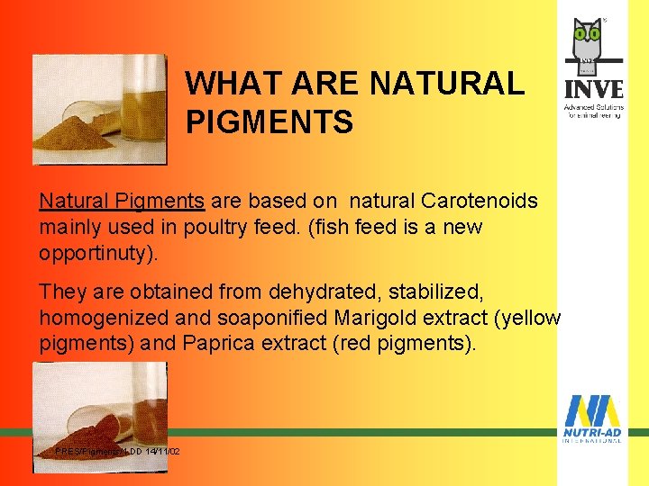 WHAT ARE NATURAL PIGMENTS Natural Pigments are based on natural Carotenoids mainly used in