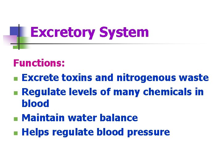 Excretory System Functions: n Excrete toxins and nitrogenous waste n Regulate levels of many