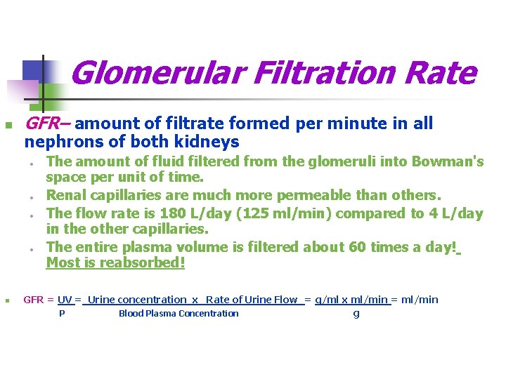 Glomerular Filtration Rate n GFR– amount of filtrate formed per minute in all nephrons