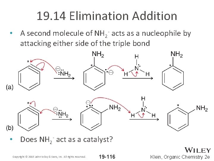 19. 14 Elimination Addition • A second molecule of NH 2 - acts as