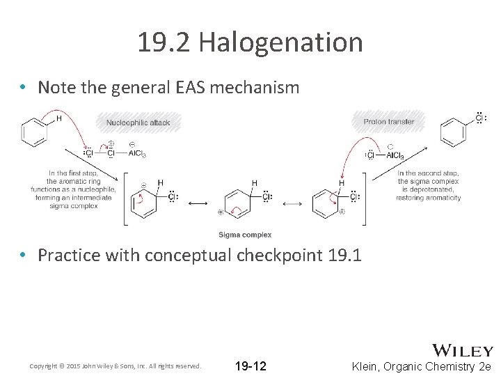 19. 2 Halogenation • Note the general EAS mechanism • Practice with conceptual checkpoint