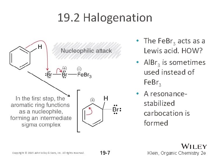 19. 2 Halogenation • The Fe. Br 3 acts as a Lewis acid. HOW?