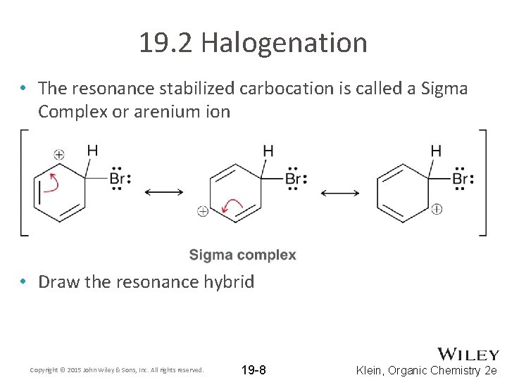 19. 2 Halogenation • The resonance stabilized carbocation is called a Sigma Complex or