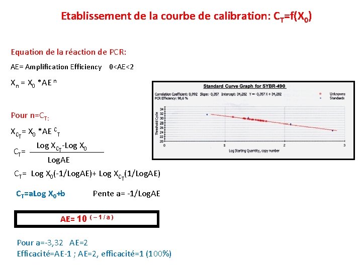 Etablissement de la courbe de calibration: CT=f(X 0) Equation de la réaction de PCR:
