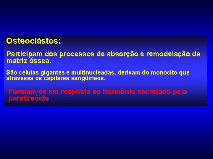 Osteoclástos: Participam dos processos de absorção e remodelação da matriz óssea. São células gigantes