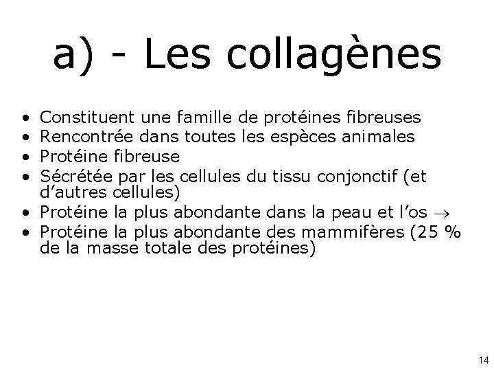 a) - Les collagènes • • Constituent une famille de protéines fibreuses Rencontrée dans