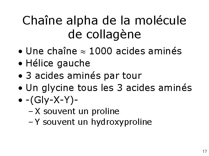 Chaîne alpha de la molécule de collagène • Une chaîne 1000 acides aminés •