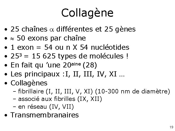 Collagène • • 25 chaînes différentes et 25 gènes 50 exons par chaîne 1