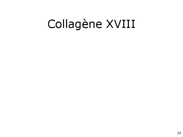 Collagène XVIII 24 