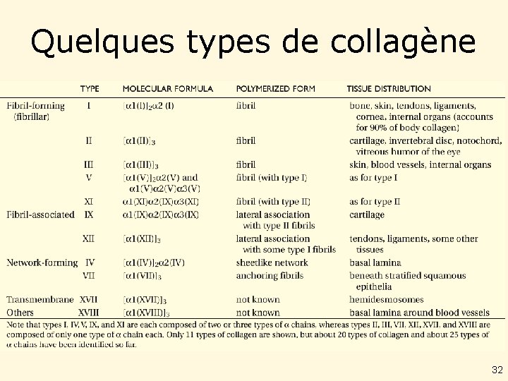 Quelques types de collagène • Table 19 -5 32 