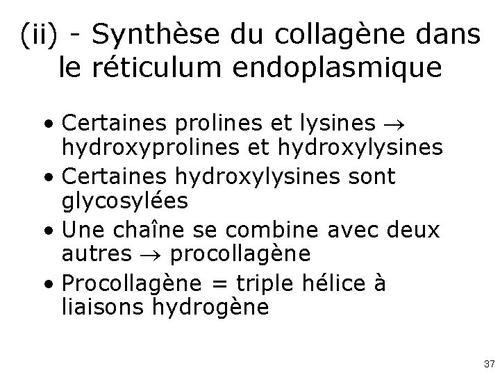 (ii) - Synthèse du collagène dans le réticulum endoplasmique • Certaines prolines et lysines