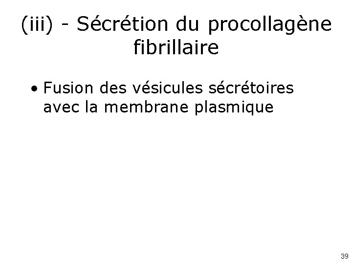 (iii) - Sécrétion du procollagène fibrillaire • Fusion des vésicules sécrétoires avec la membrane