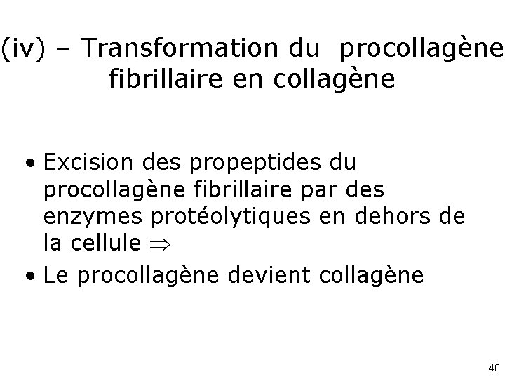 (iv) – Transformation du procollagène fibrillaire en collagène • Excision des propeptides du procollagène