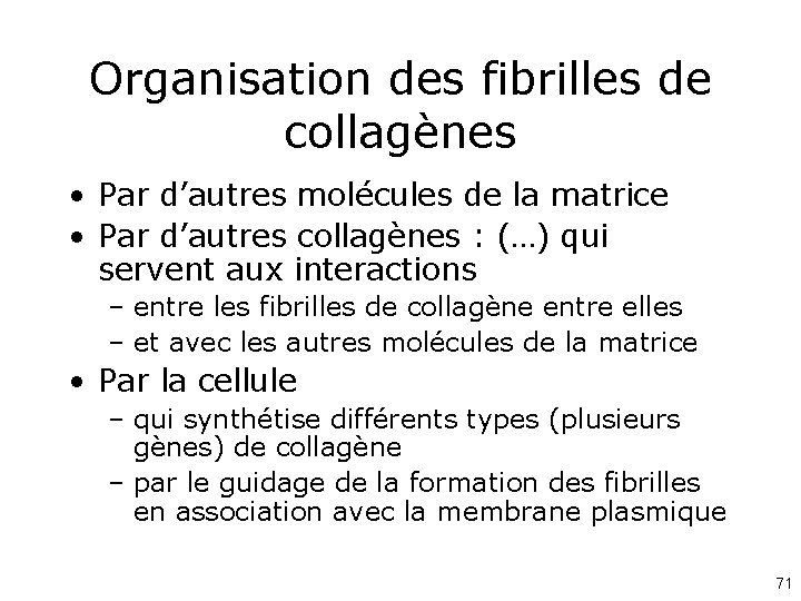 Organisation des fibrilles de collagènes • Par d’autres molécules de la matrice • Par