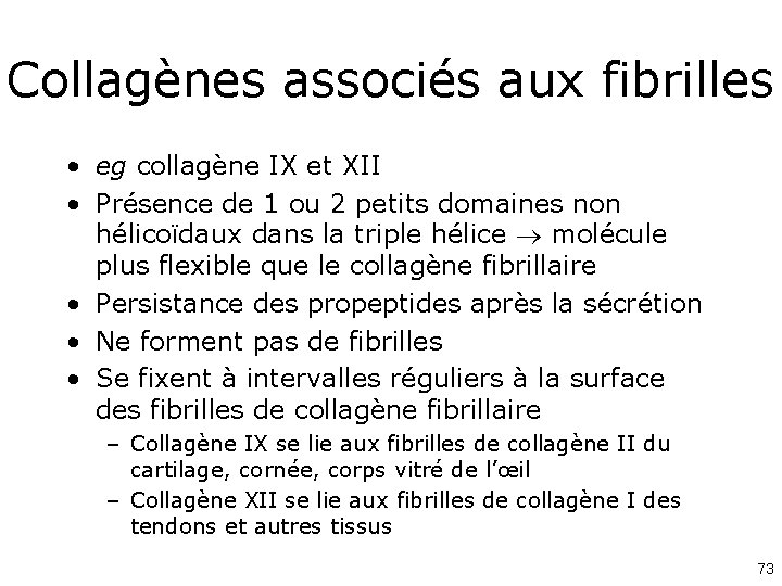 Collagènes associés aux fibrilles • eg collagène IX et XII • Présence de 1