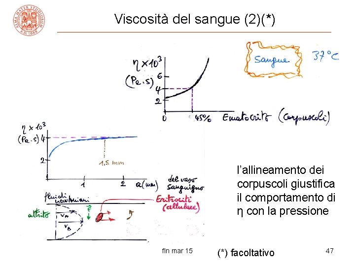 Viscosità del sangue (2)(*) l’allineamento dei corpuscoli giustifica il comportamento di η con la