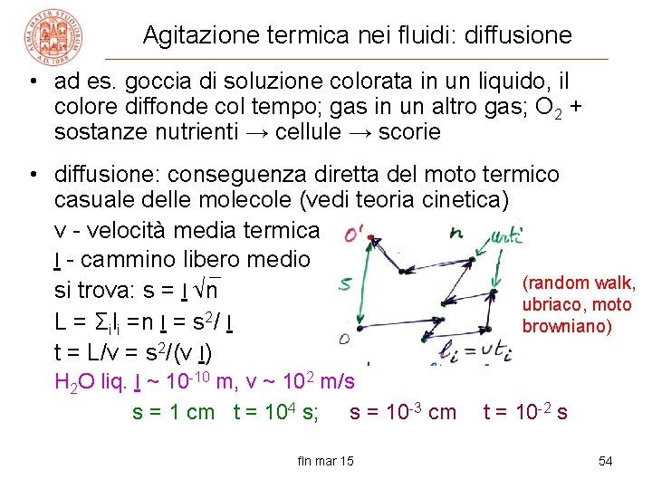 Agitazione termica nei fluidi: diffusione • ad es. goccia di soluzione colorata in un