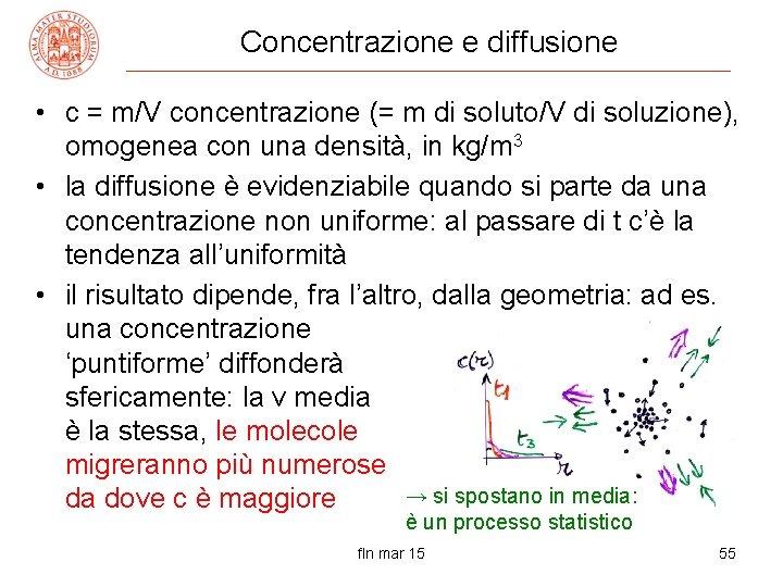 Concentrazione e diffusione • c = m/V concentrazione (= m di soluto/V di soluzione),