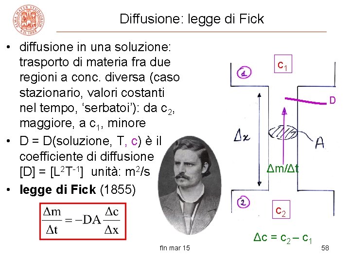 Diffusione: legge di Fick • diffusione in una soluzione: trasporto di materia fra due