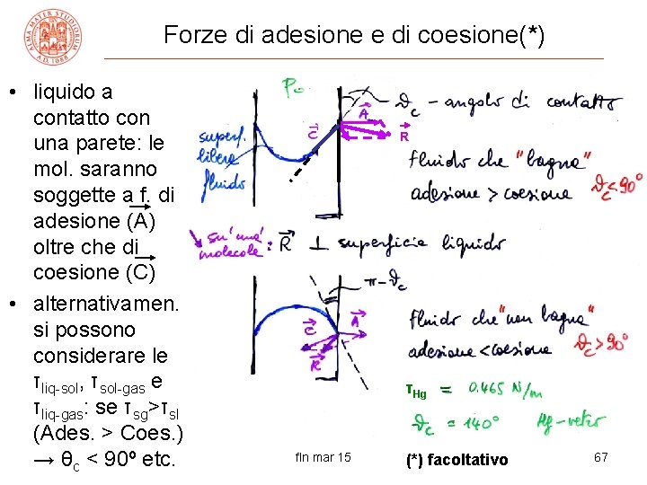 Forze di adesione e di coesione(*) • liquido a contatto con una parete: le