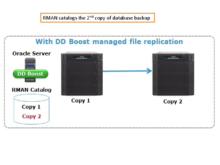 RMAN catalogs the 2 nd copy of database backup 