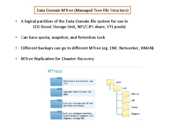 Data Domain MTree (Managed Tree File Structure) • A logical partition of the Data