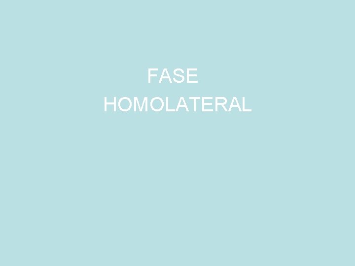 FASE HOMOLATERAL 