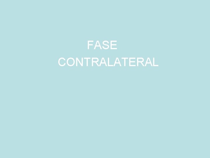 FASE CONTRALATERAL 