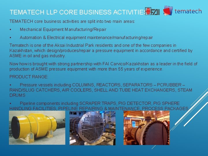 TEMATECH LLP CORE BUSINESS ACTIVITIES TEMATECH core business activities are split into two main