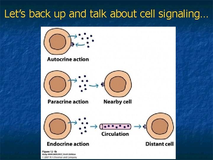 Let’s back up and talk about cell signaling… 