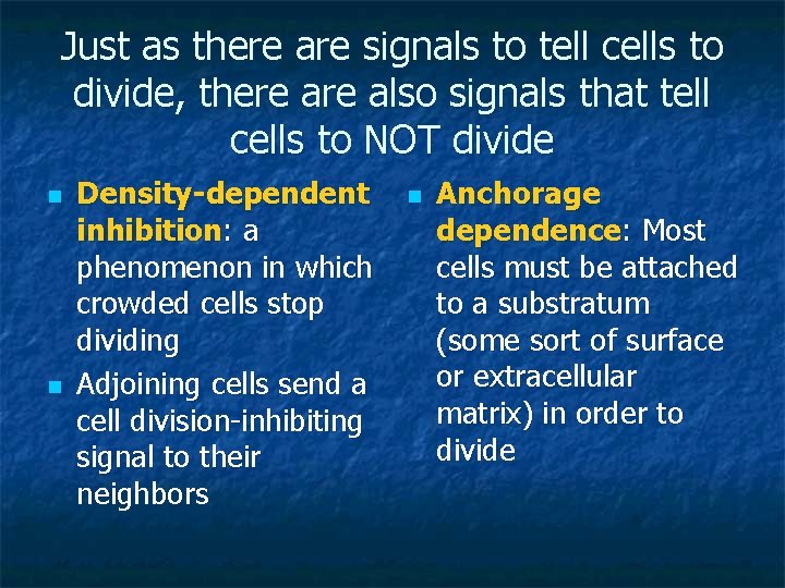 Just as there are signals to tell cells to divide, there also signals that