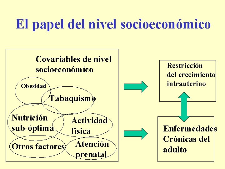 El papel del nivel socioeconómico Covariables de nivel socioeconómico Obesidad Restricción del crecimiento intrauterino