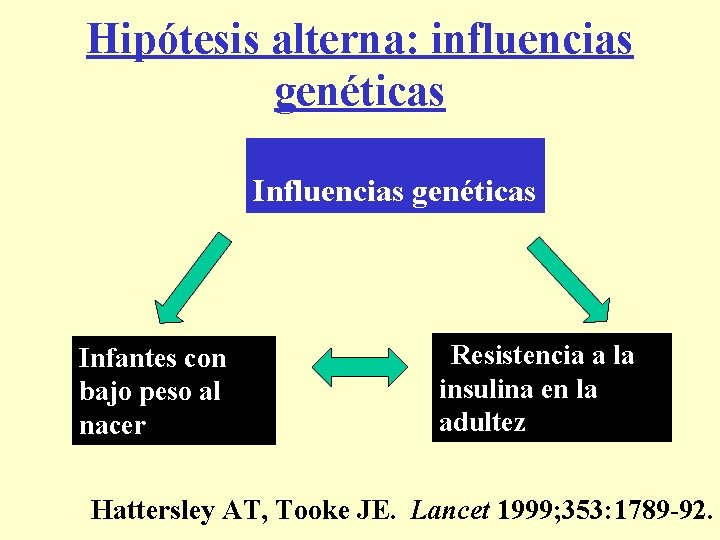 Hipótesis alterna: influencias genéticas Infantes con bajo peso al nacer Resistencia a la insulina